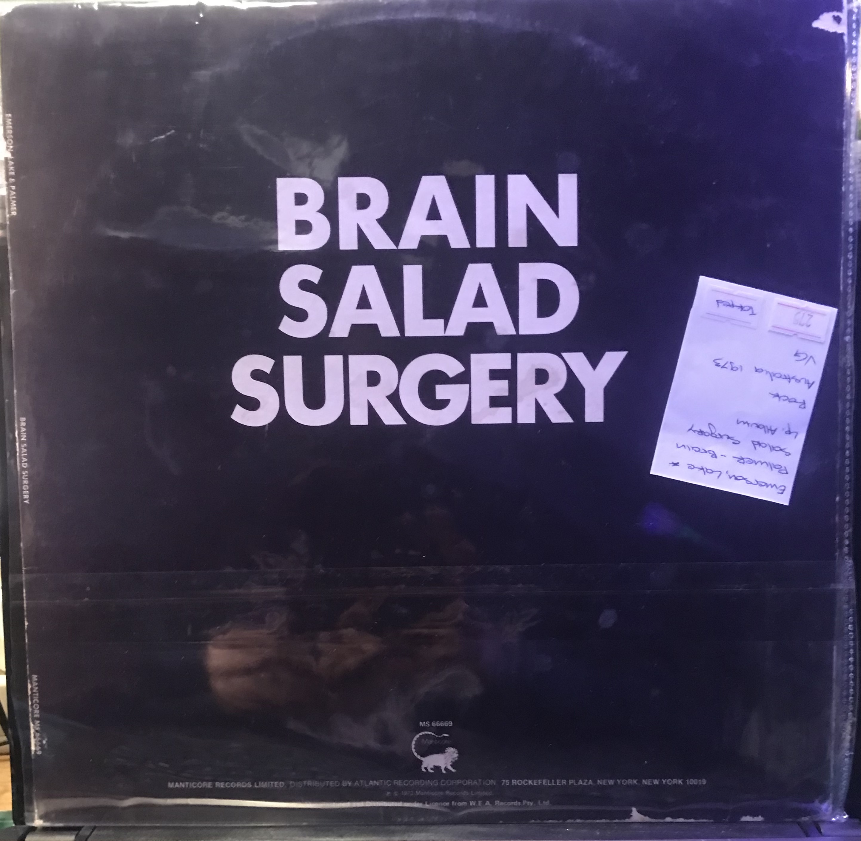Brain Salad Surgery